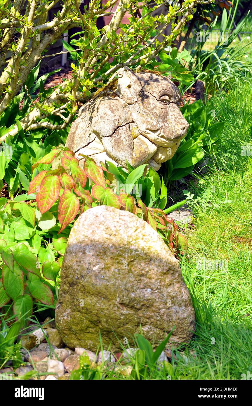 Alter Gargoyle aus Stein im Blumenbeet, Hessen, Deutschland. Stock Photo