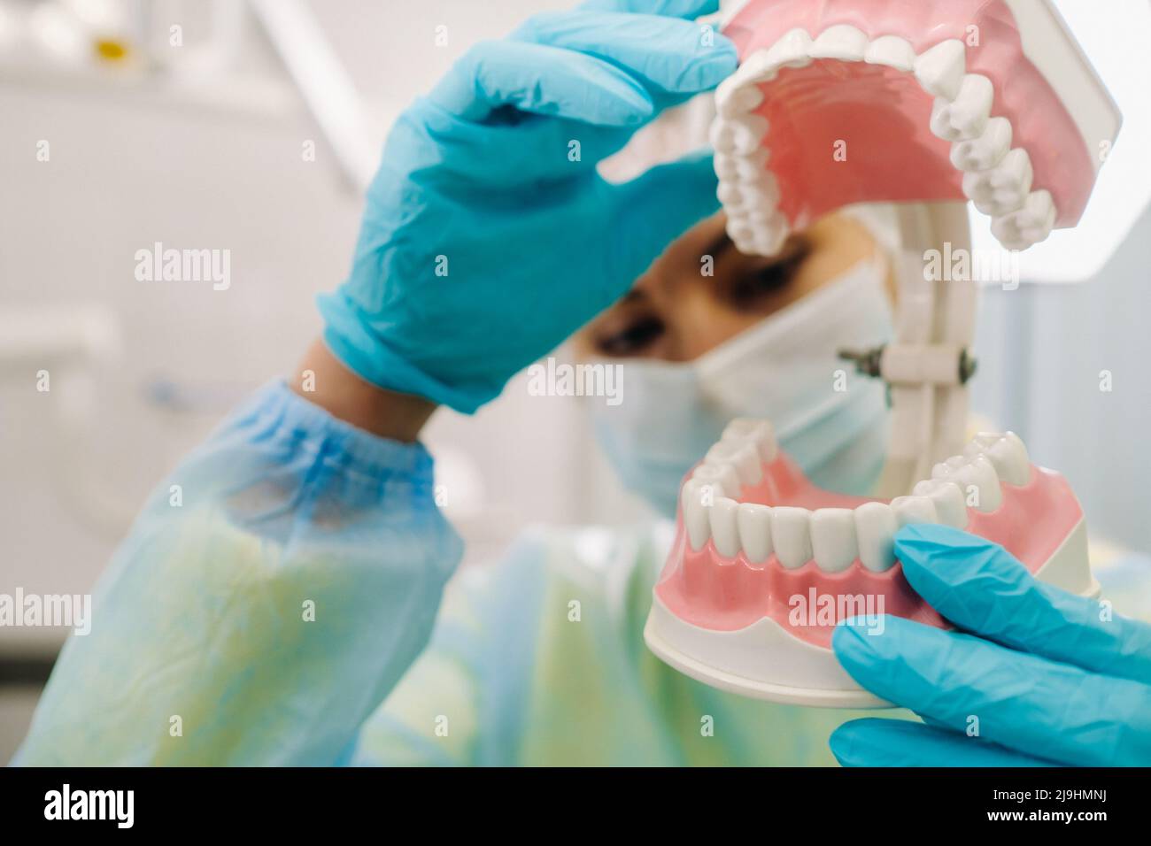 A model of a human jaw with teeth and a toothbrush in the dentist's ...