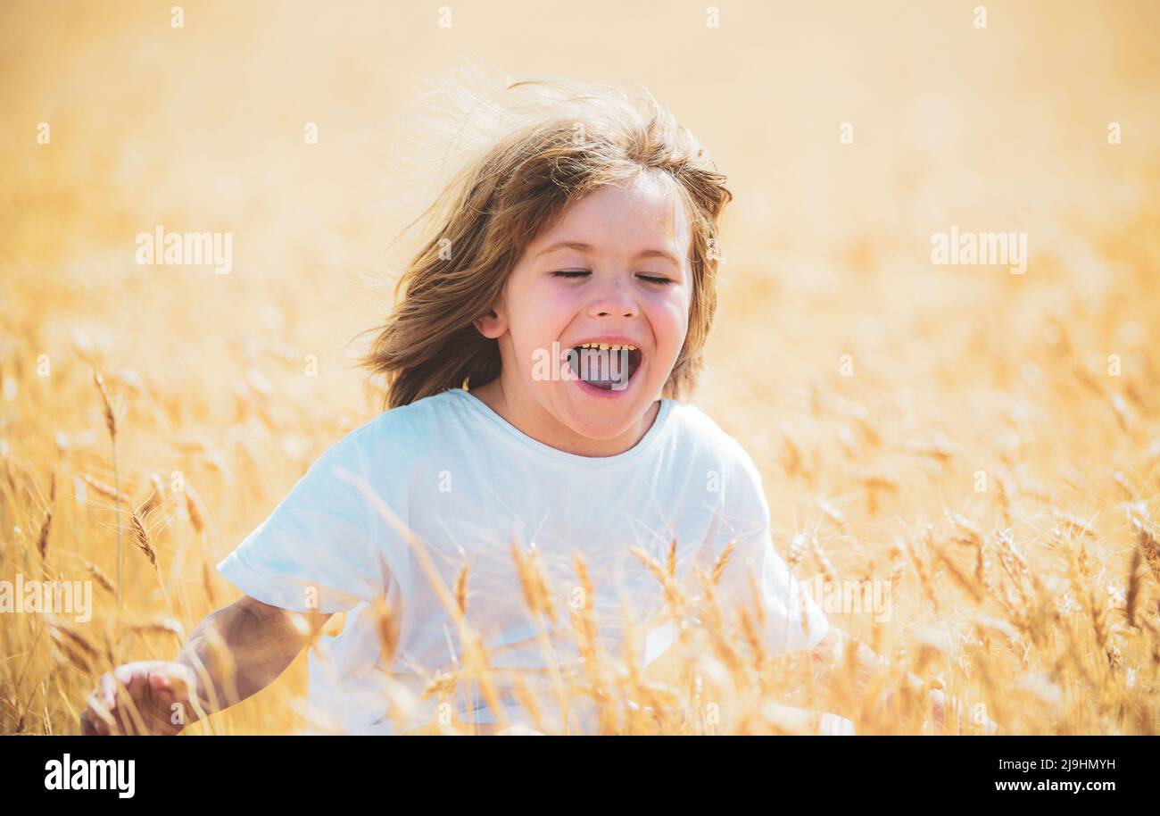 Happy child on wheat field. Excited boy in the rye fields Stock Photo ...