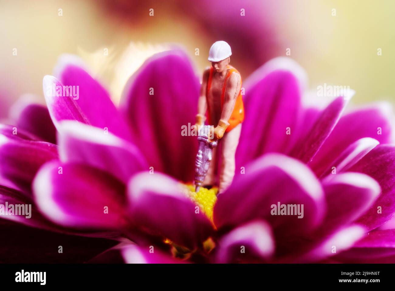 Blooming flower head and figurine of construction worker symbolizing destruction of nature Stock Photo