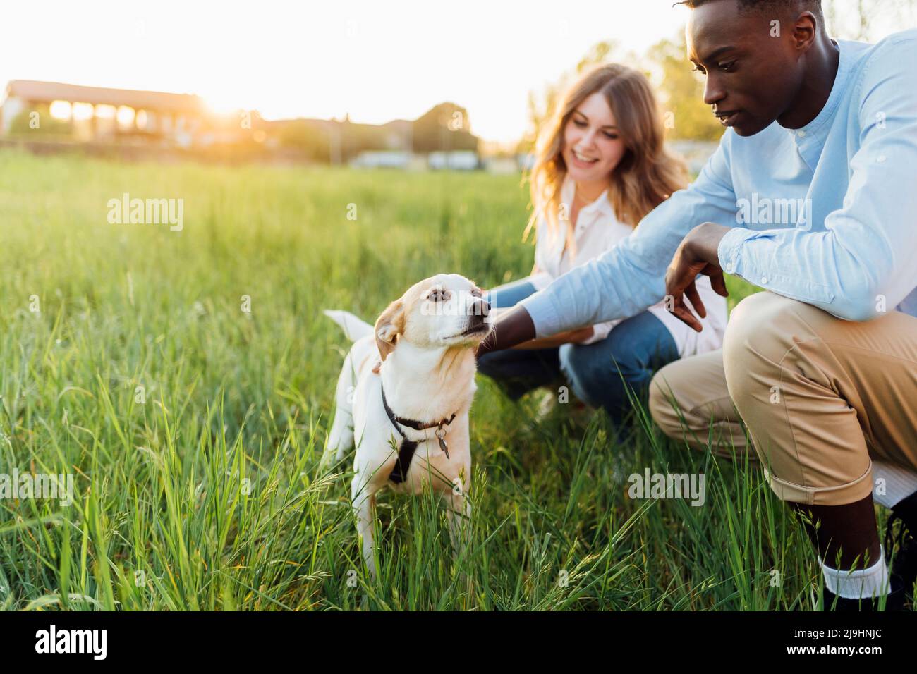 Happy young couple with dog in nature Stock Photo