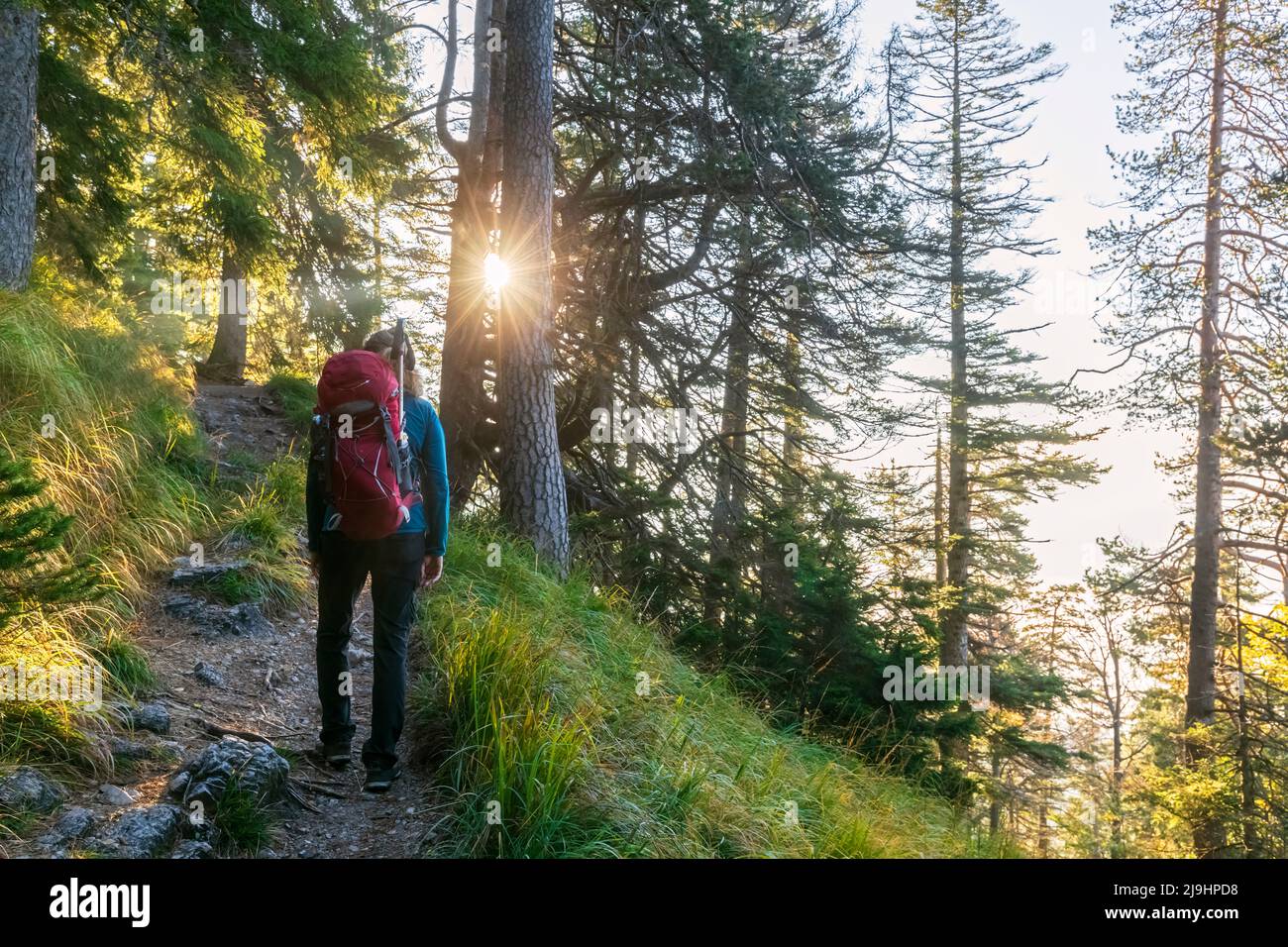 Female hiker forest path hi-res stock photography and images - Alamy