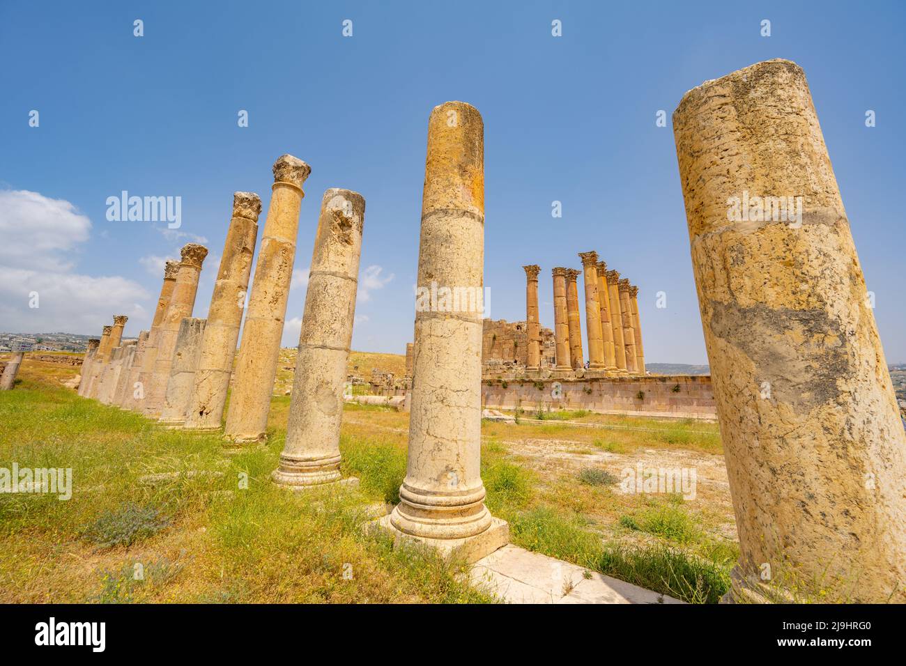 The column of the ruined temple of Artemis in the roman city of Jerash Stock Photo