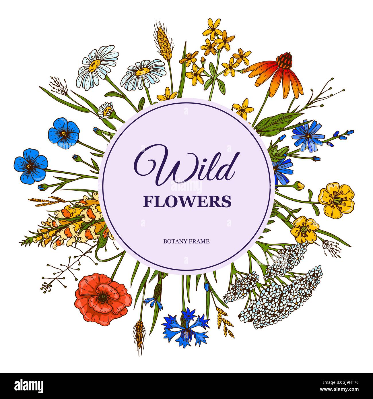 Hand drawn circle summer wildflowers frame. Vector illustration Stock Vector