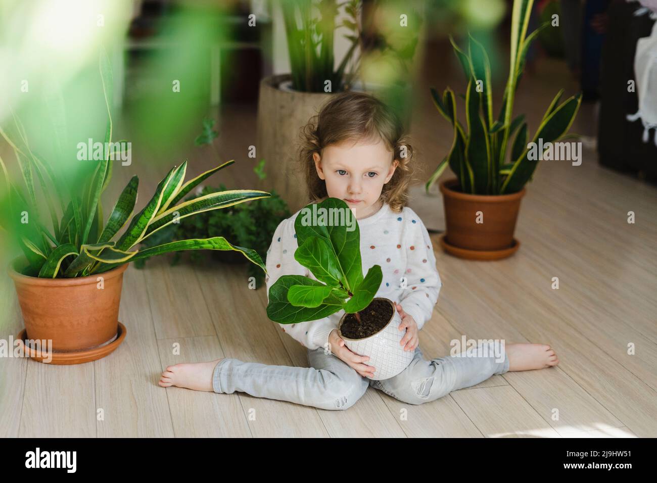 Innocent girl sitting with potted plant in living room Stock Photo
