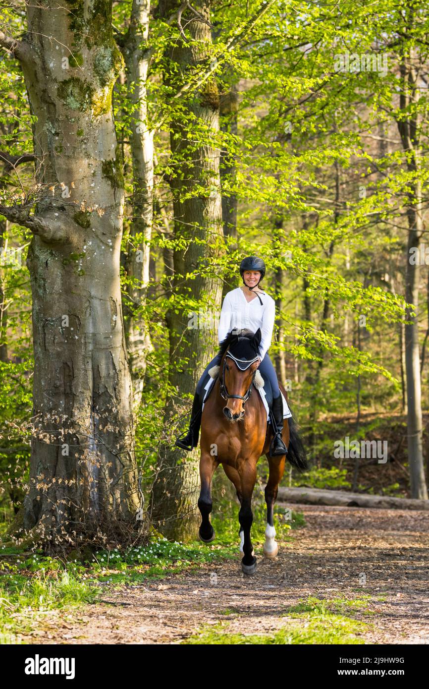 Smiling woman riding horse in forest Stock Photo