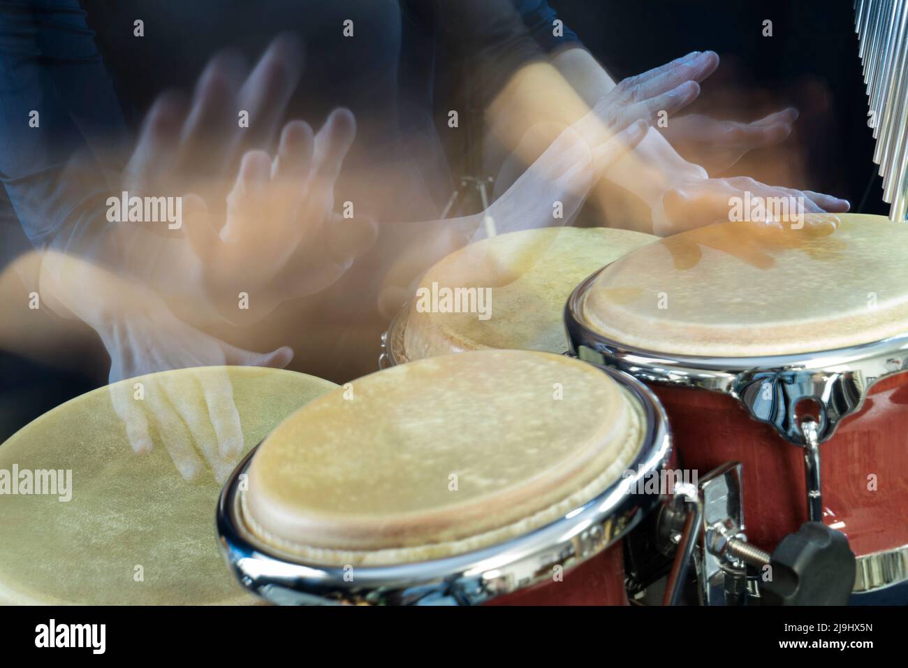Hands of woman playing bongo Stock Photo