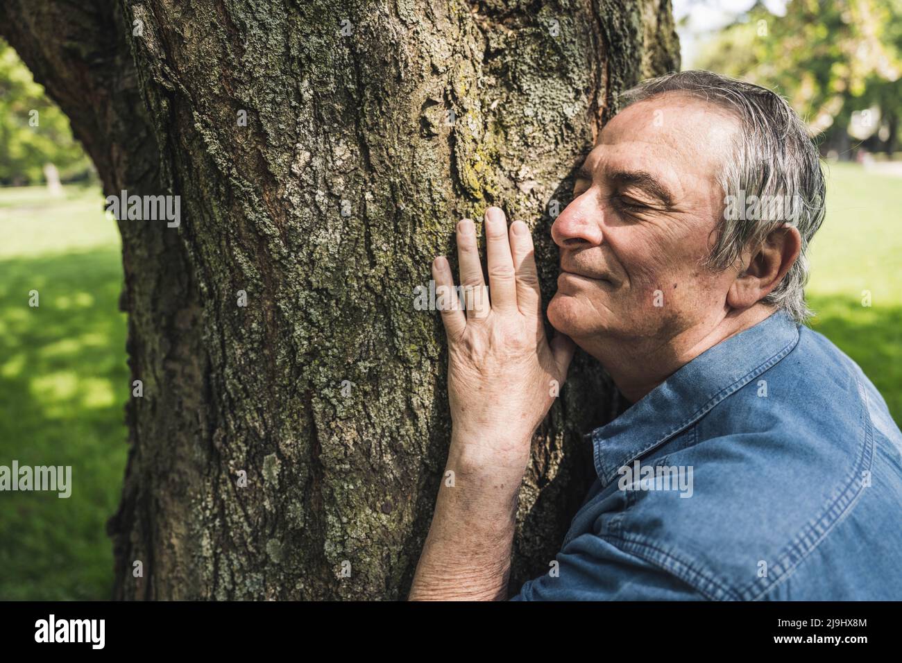 Smiling senior man embracing tree at park Stock Photo