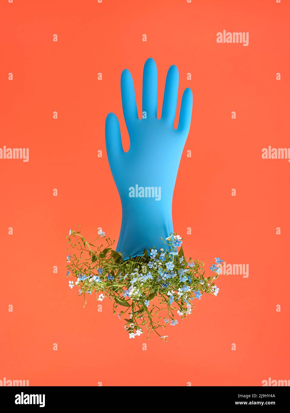 Blue glove and flowers levitation, modern safety and protection creative concept, minimal. Stock Photo