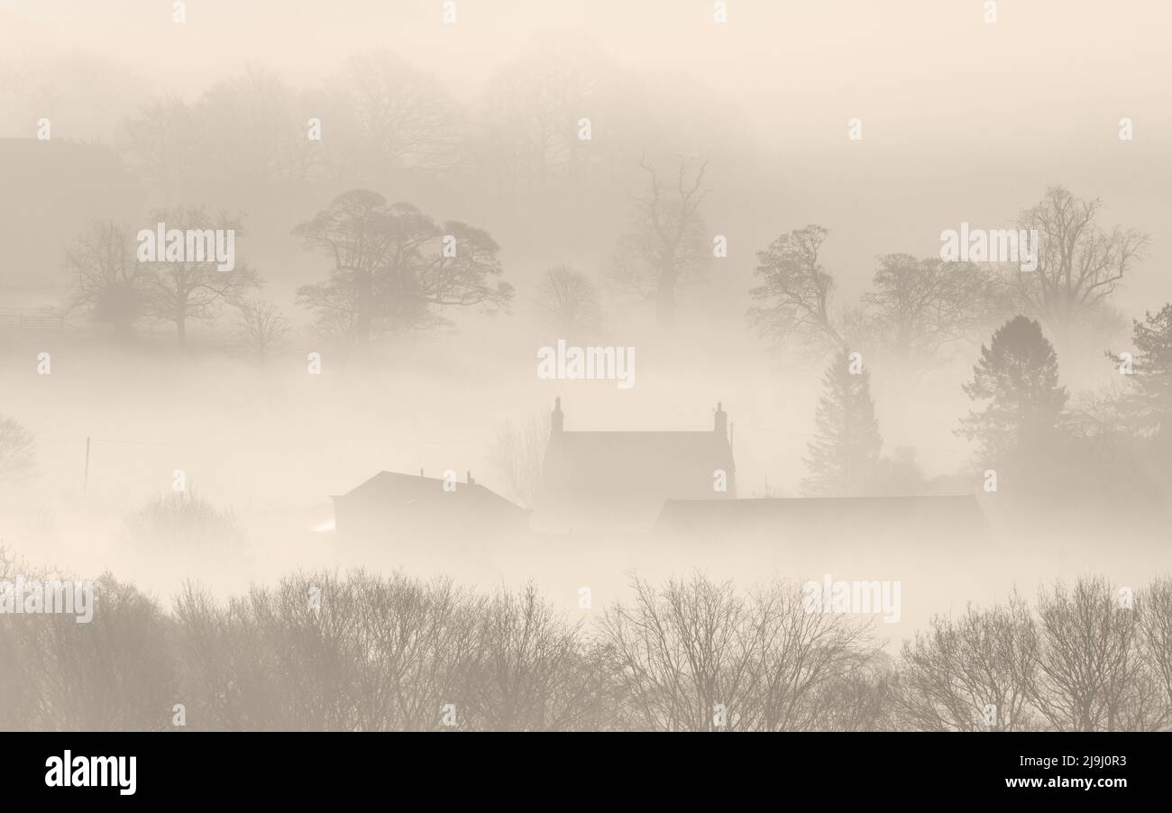 Hazy morning mist accentuates the stark forms of leafless trees and rural outbuildings on an early spring day in Lower Wharfedale, Yorkshire. Stock Photo