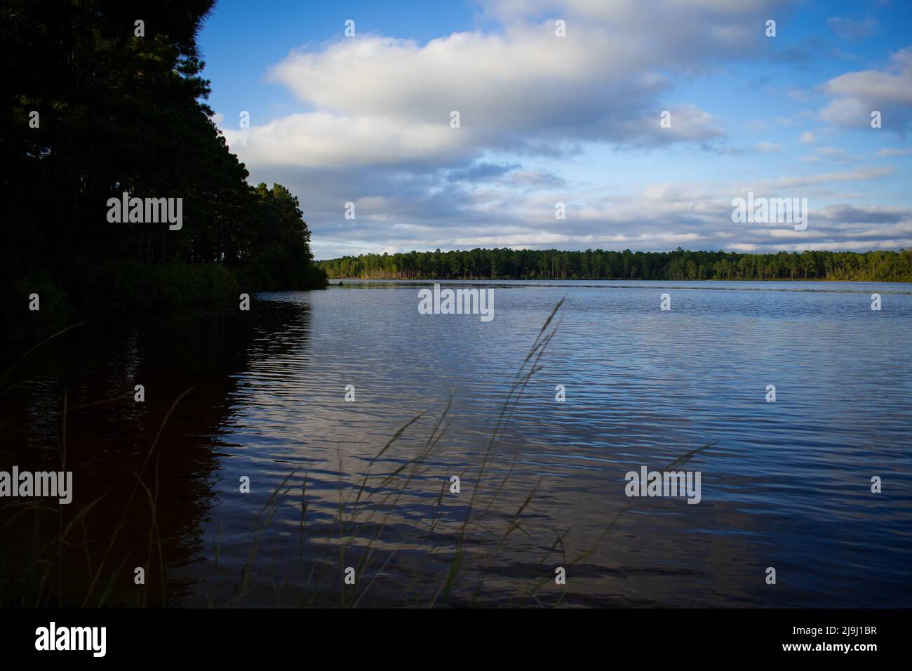 Beautiful North Carolina lake on a sunny day where you can go fishing Stock Photo