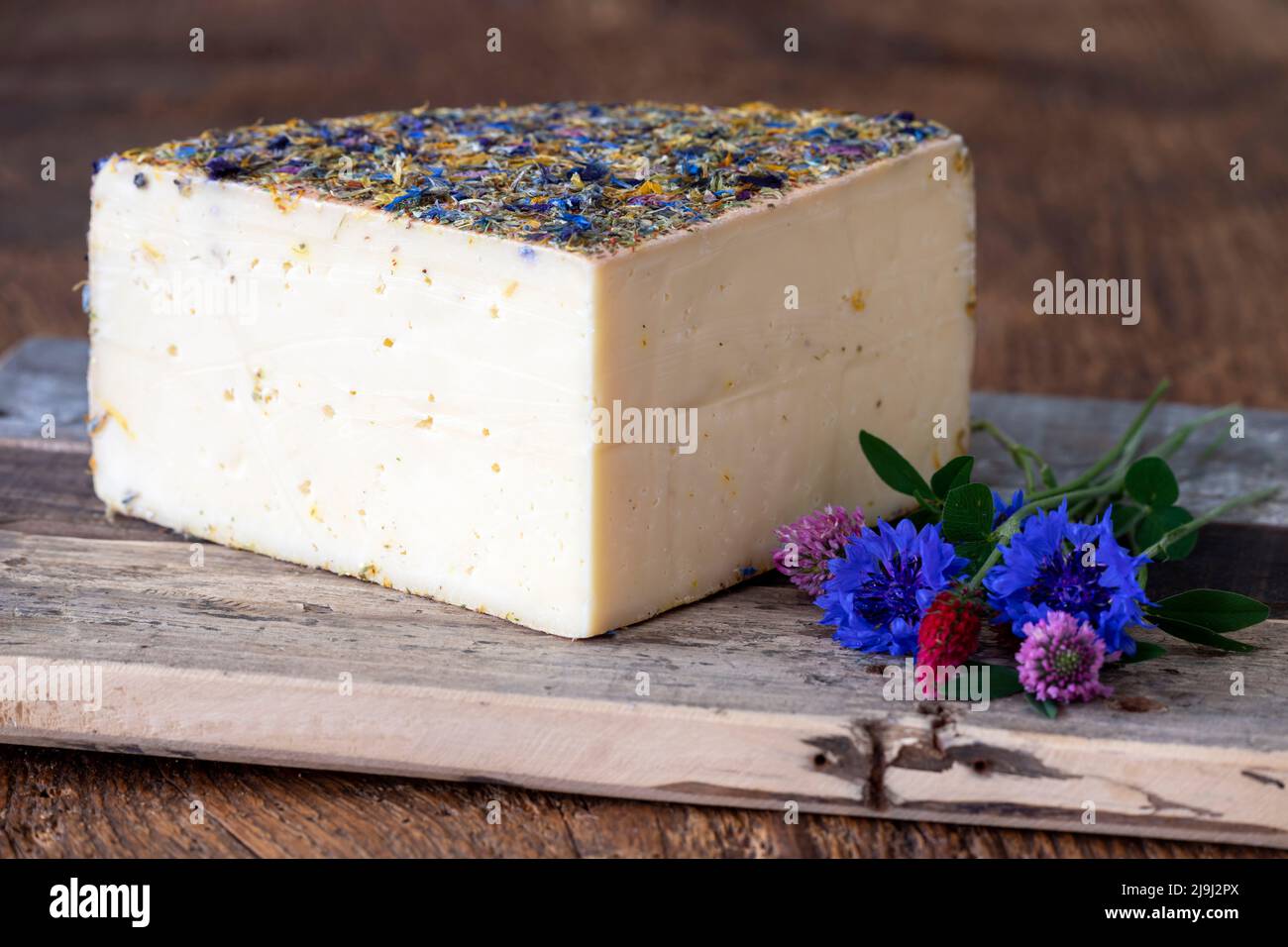 mountain cheese with flowers on wood Stock Photo