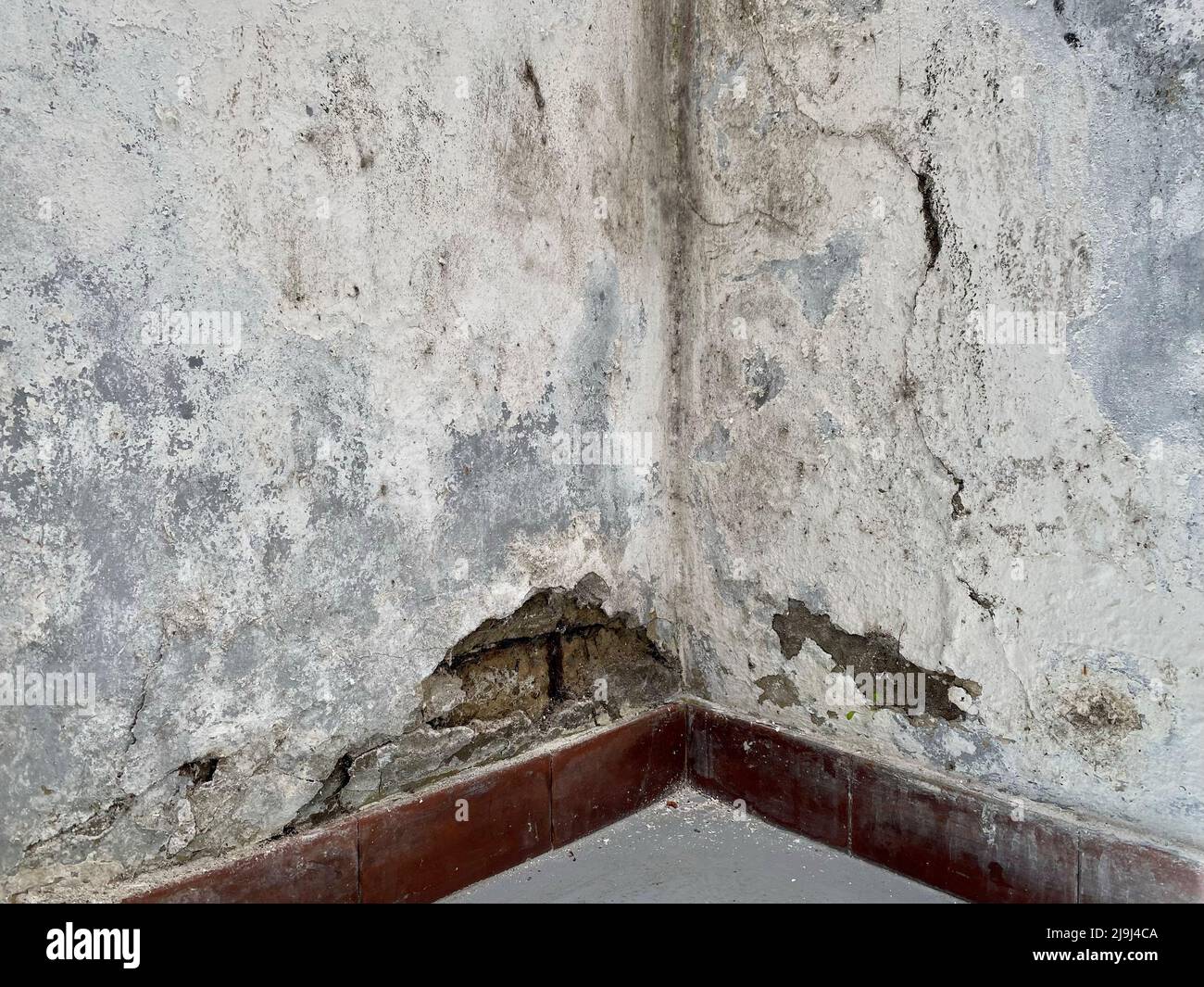 Wall with obvious traces of mold and damp that deteriorate over time