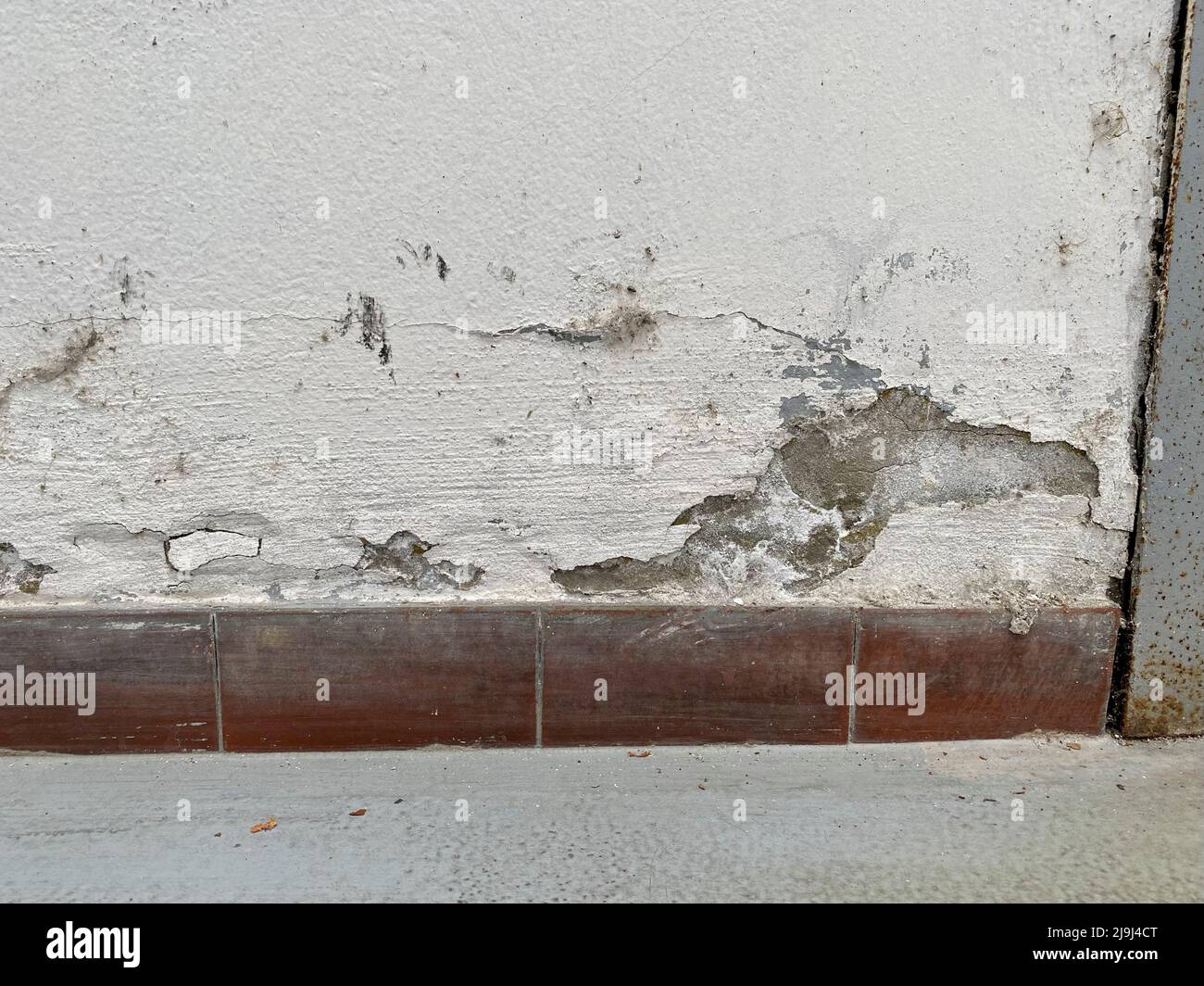 Wall with obvious traces of mold and damp that deteriorate over time