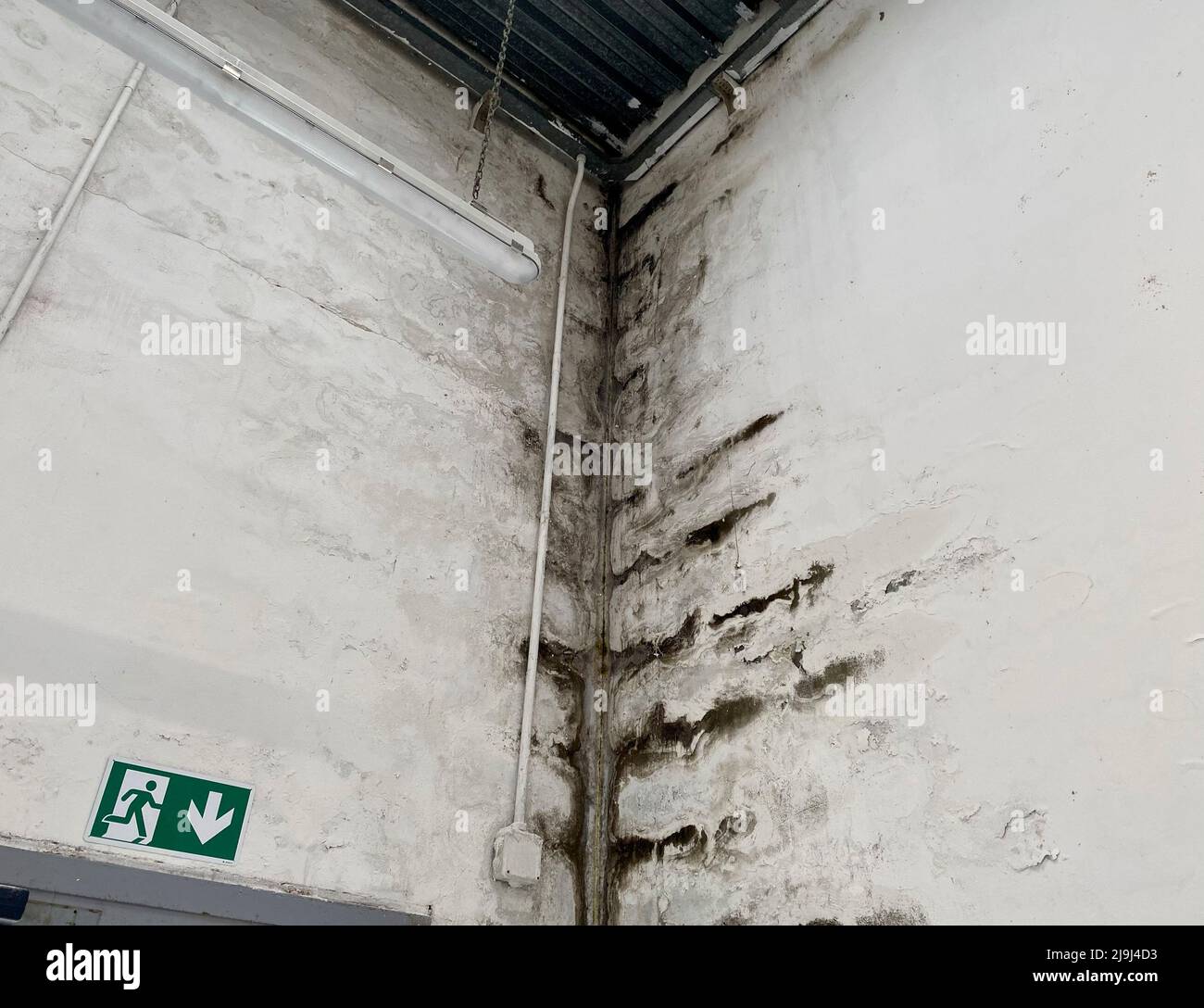 Wall with obvious traces of mold and damp that deteriorate over time