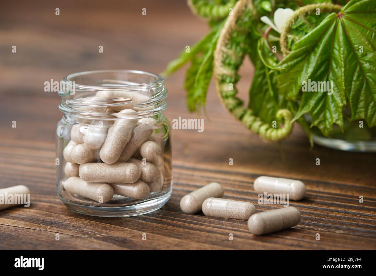 Herbal pills, jar of natural tablets. Medicinal healing herbs on background. Stock Photo