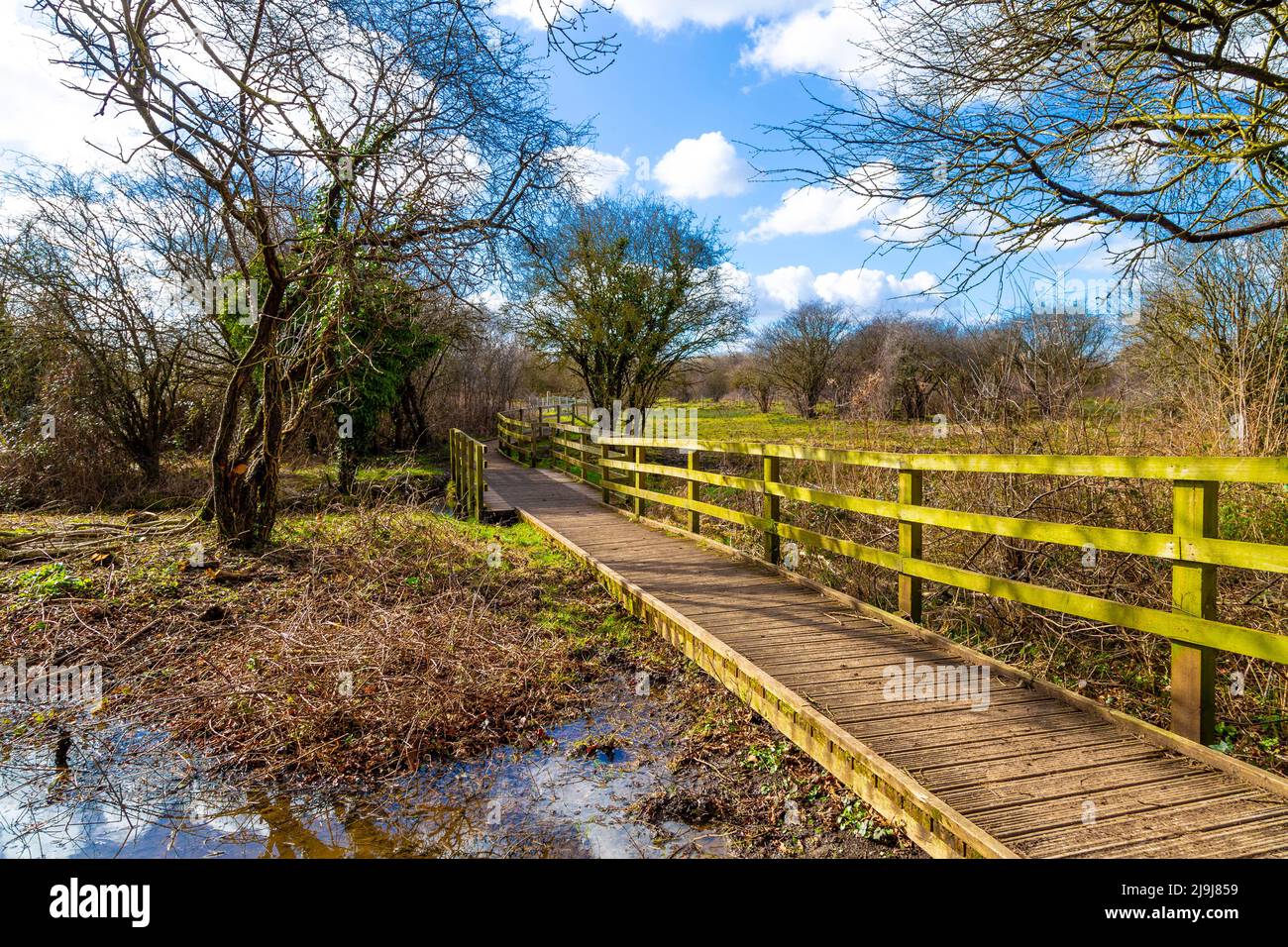 Wooden walkway over water at Oughtonhead Common Nature Reserve in Hitchin, Hertfordshire, UK Stock Photo