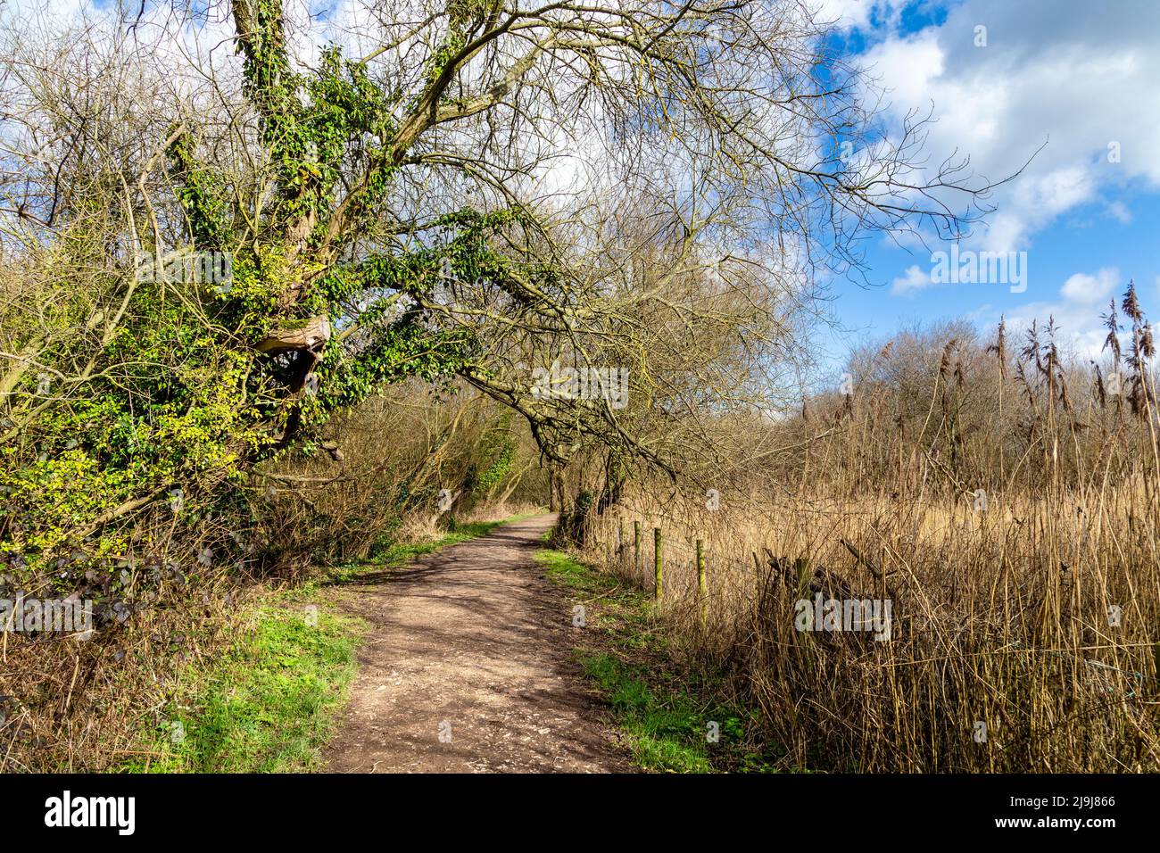 Walking trail at Oughtonhead Common Nature Reserve in Hitchin, Hertfordshire, UK Stock Photo