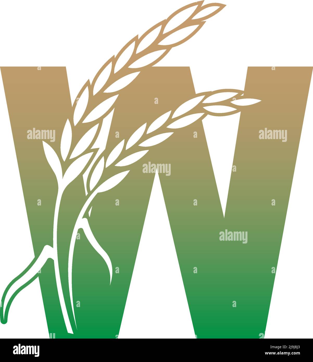 Letter W with rice plant icon illustration template vector Stock Vector ...