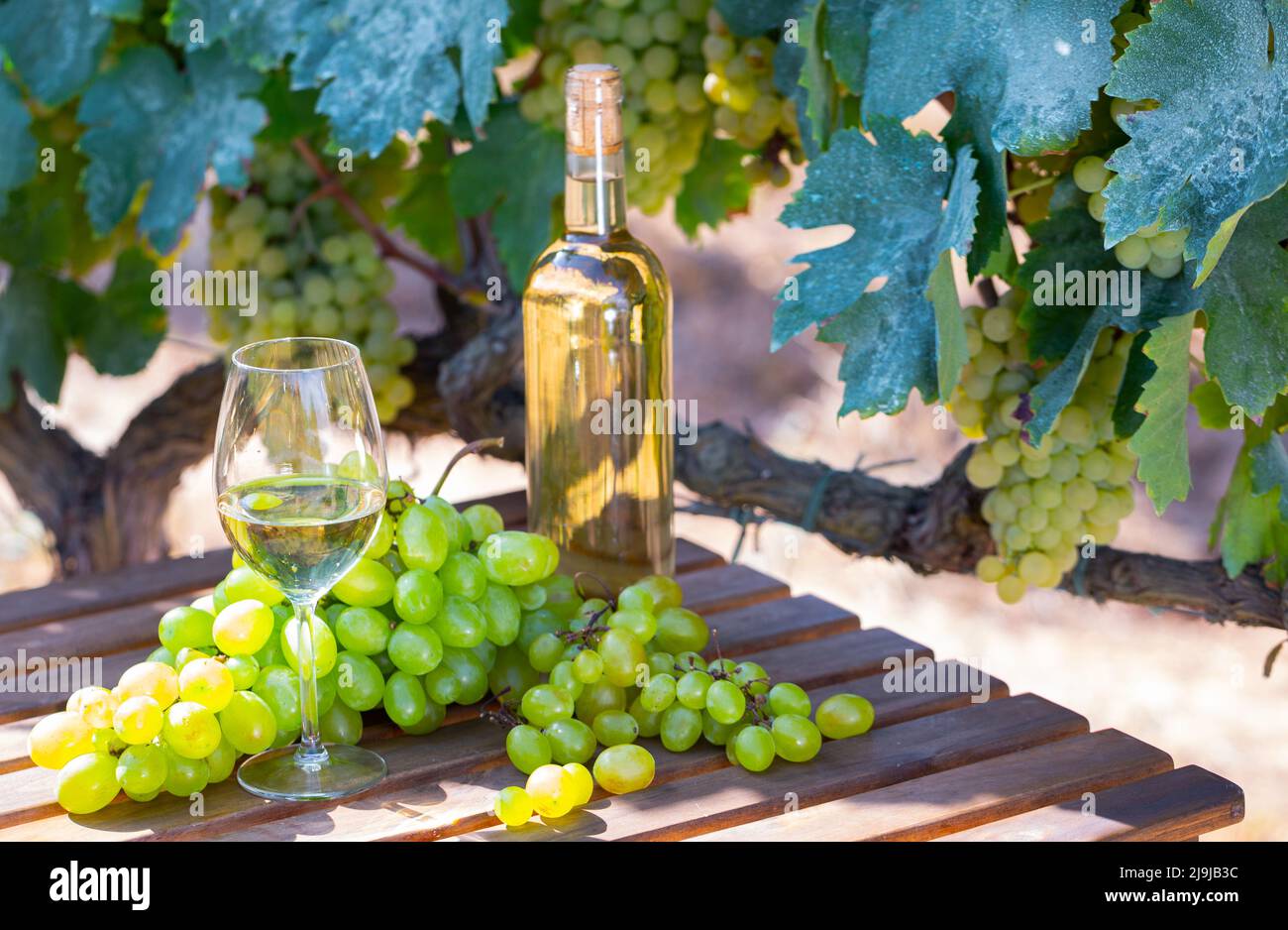Still life with bottle of white wine, glass of wine and grapes Stock Photo