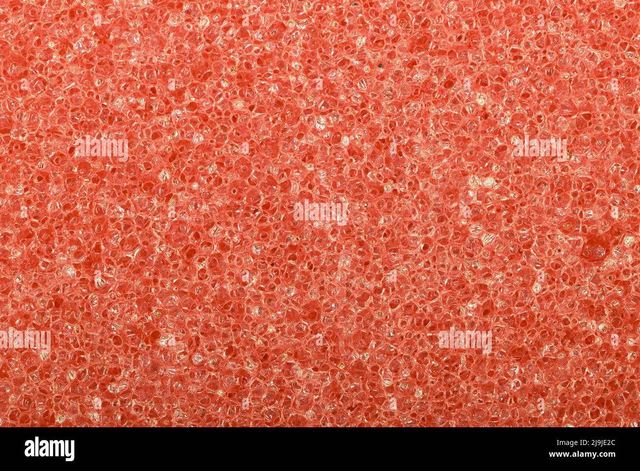 Texture closeup of sponge surface Stock Photo