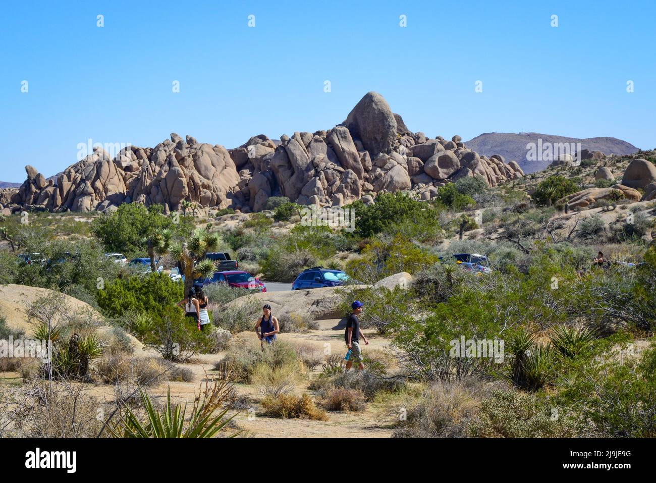 'Skull Rock', A landmark in the Joshua Tree National Park is climbed on by tourists on the uniquely created boulders, in the Mojave desert, CA Stock Photo
