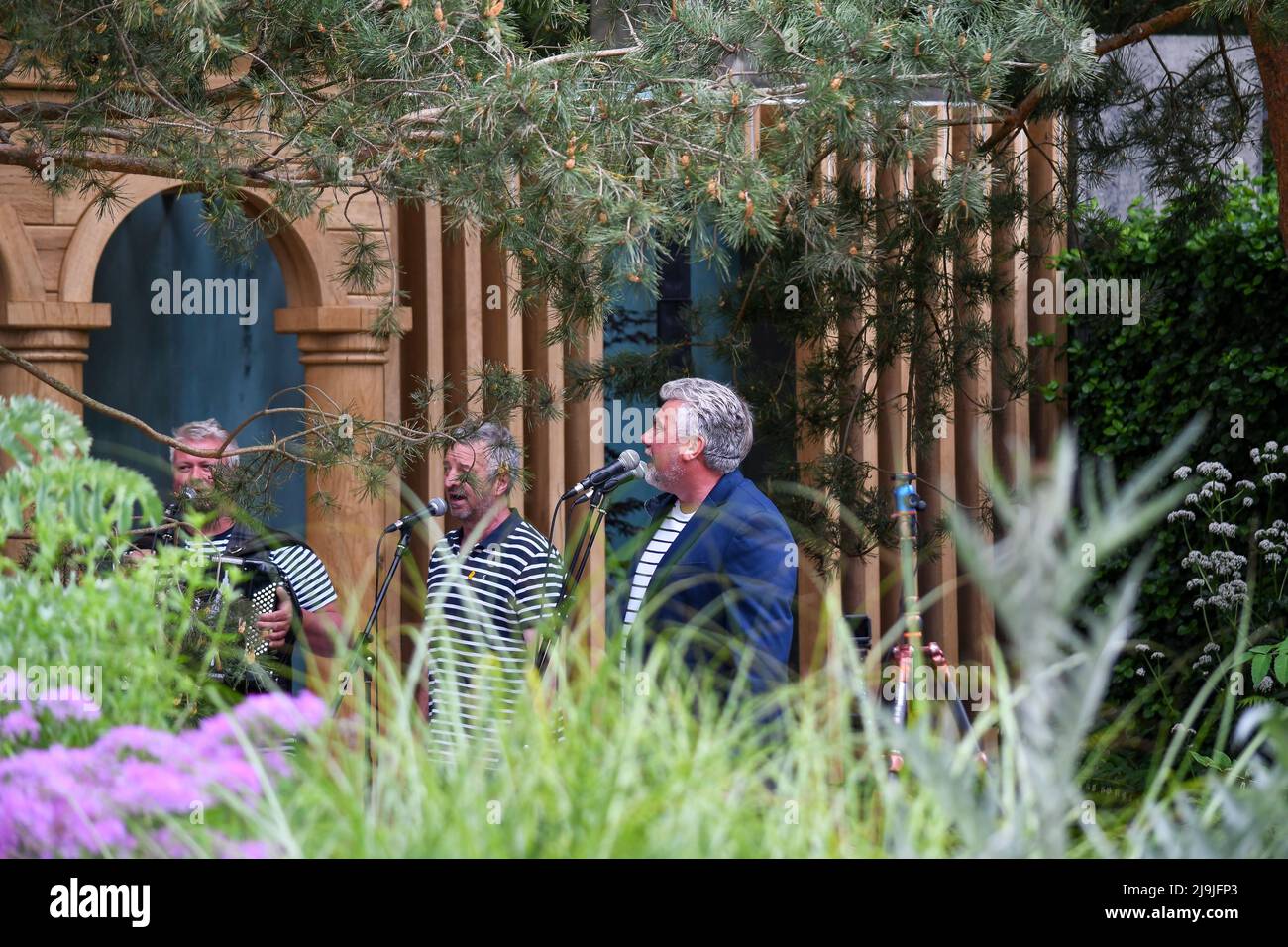 Chelsea Flower Show is back after three years due to the pandemic. It