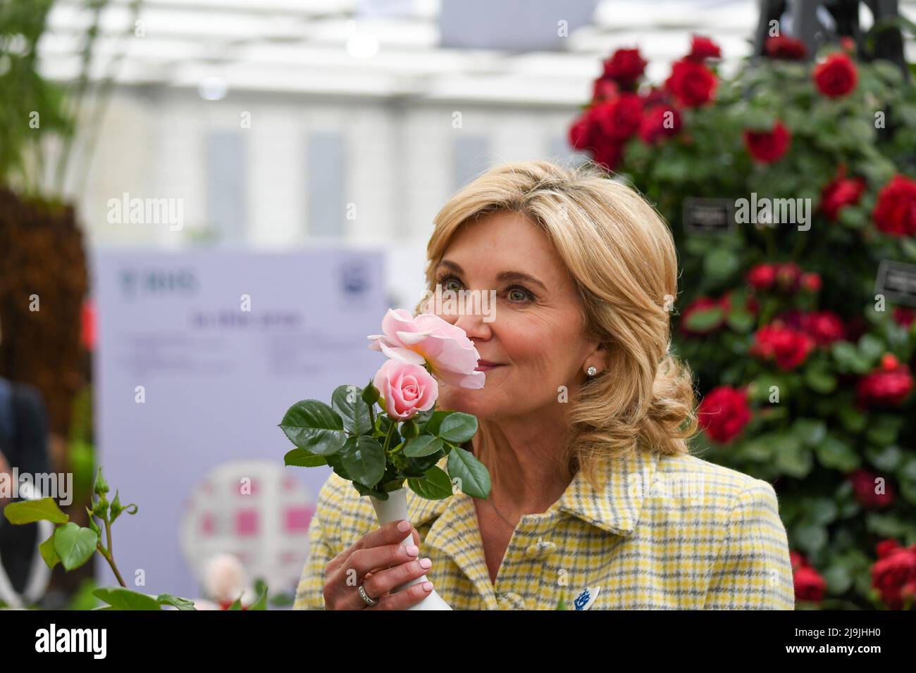 Chelsea Flower Show is back after three years due to the pandemic. It looks fantastic with all the gardens and flower displays. A floral feast for the eyes. These photos were taken during the press day. Photo : Anthea Turner with the rose called Dame Deborah James at the Harkness Rose Company stand. Stock Photo