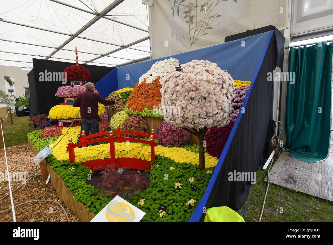Chelsea Flower Show is back after three years due to the pandemic. It