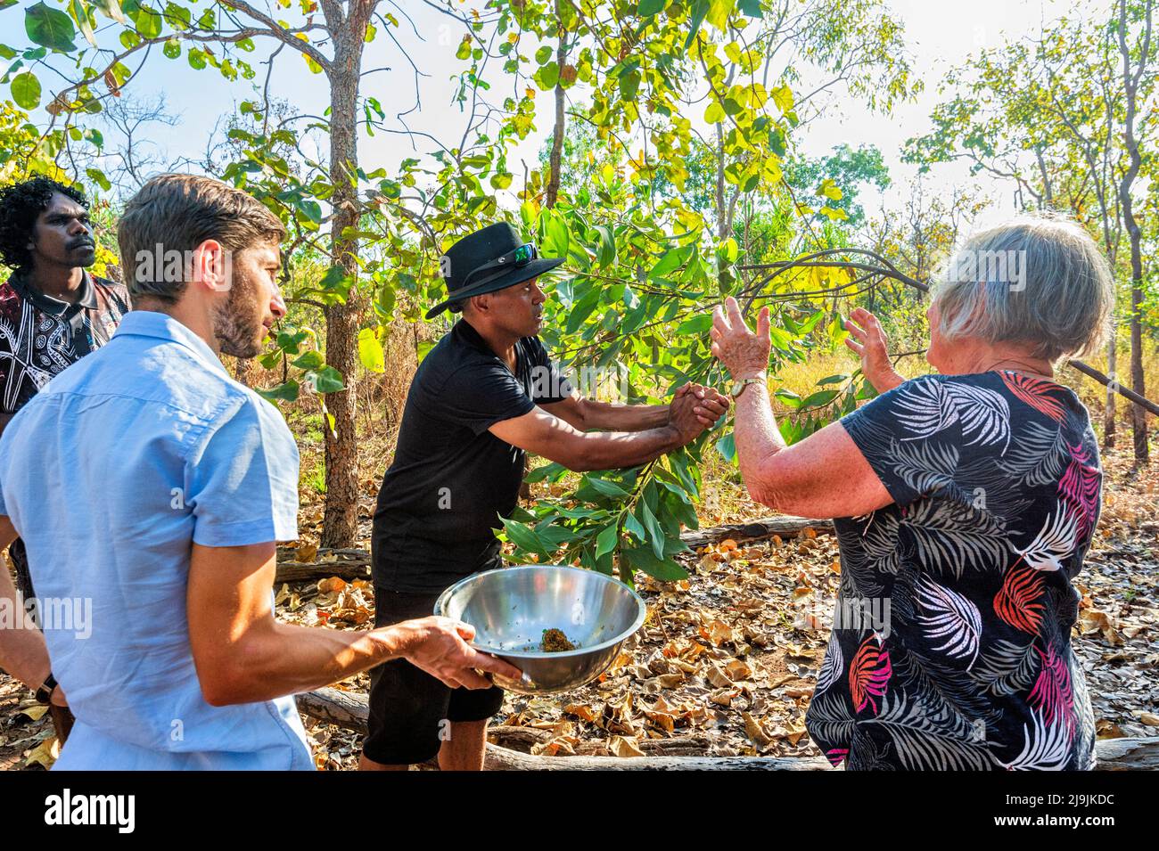 Young Aboriginal man demonstrating to tourists how to catch green ants to use as ingredients during the Taste of Kakadu Festival, Cooinda, Kakadu Nati Stock Photo