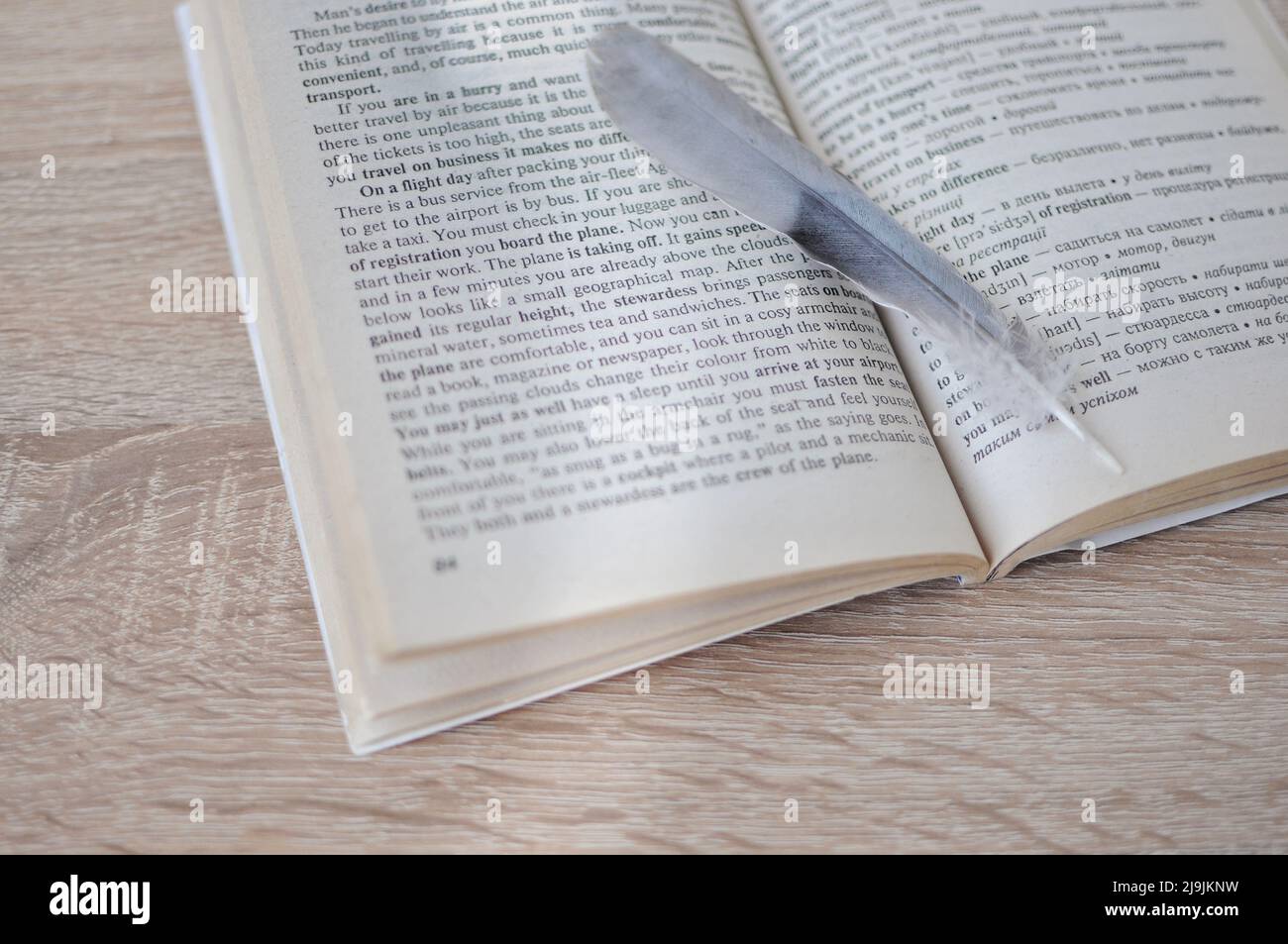 Bird pen lying on the book Stock Photo - Alamy