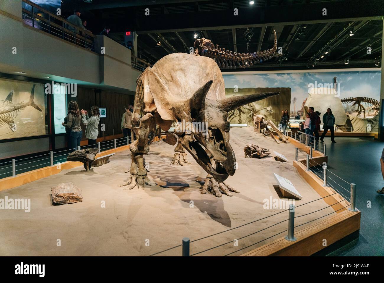 Royal tyrrell museum of paleontology hi-res stock photography and images - Alamy