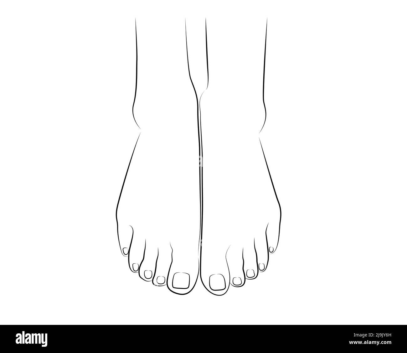 Beautiful woman feet line drawing isolated on white background - vector illustration Stock Vector