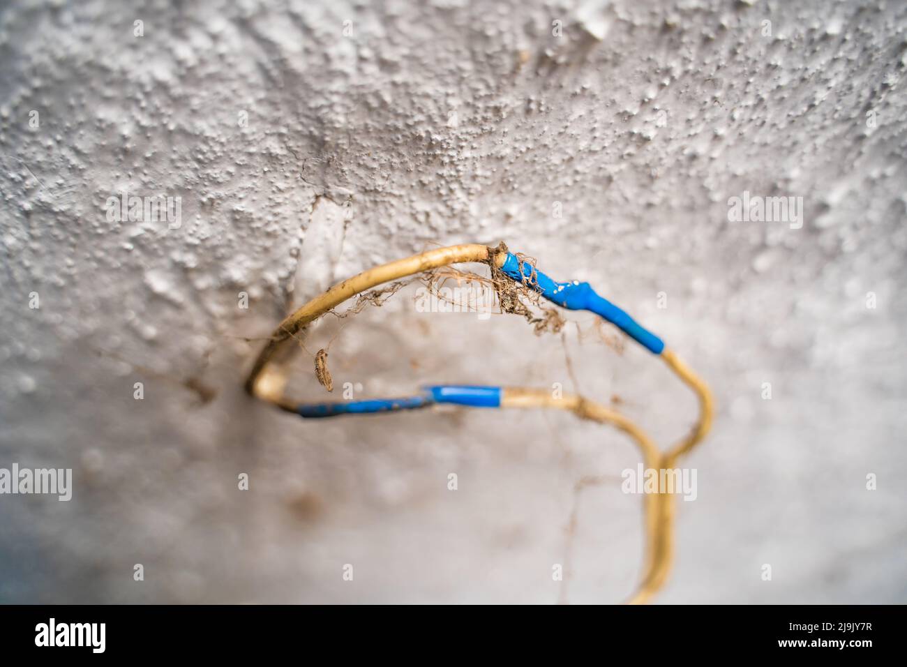 Old wires wound with blue electrical tape covered with spider webs