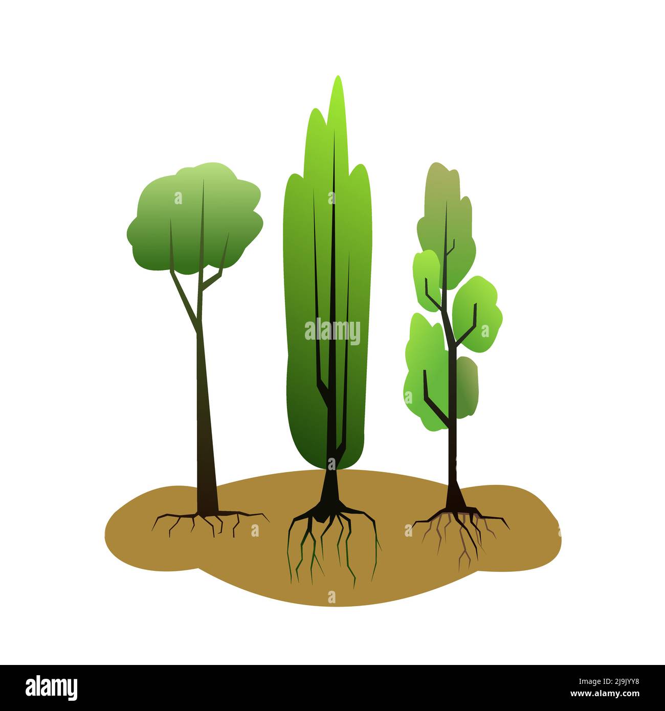 Seedling garden trees plants with roots. Sowing agricultural material ...