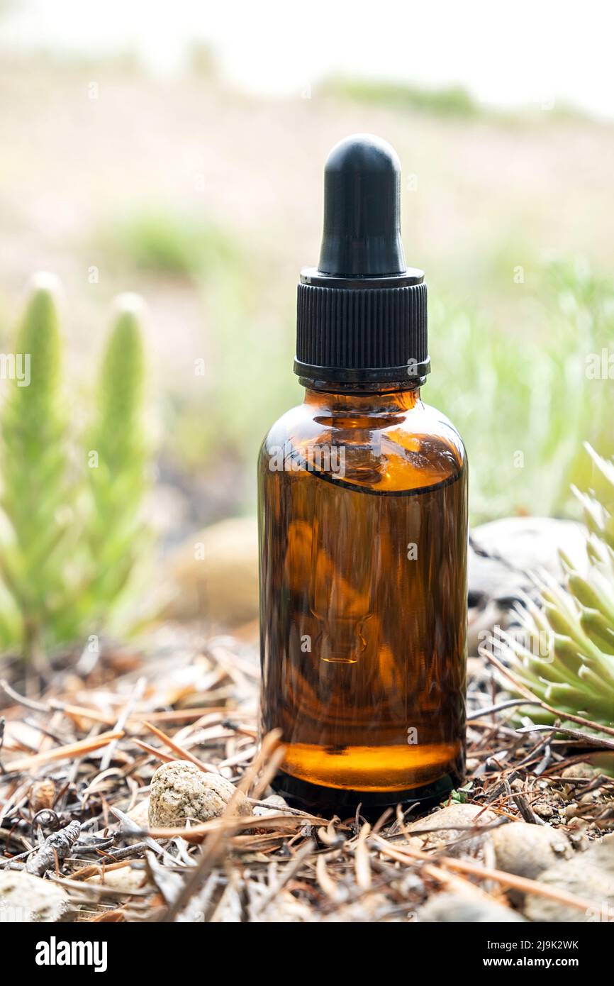 One brown glass dropper bottle with serum, essential oil or other cosmetic product outdoors. Natural Organic Spa Cosmetic Beauty concept. Stock Photo
