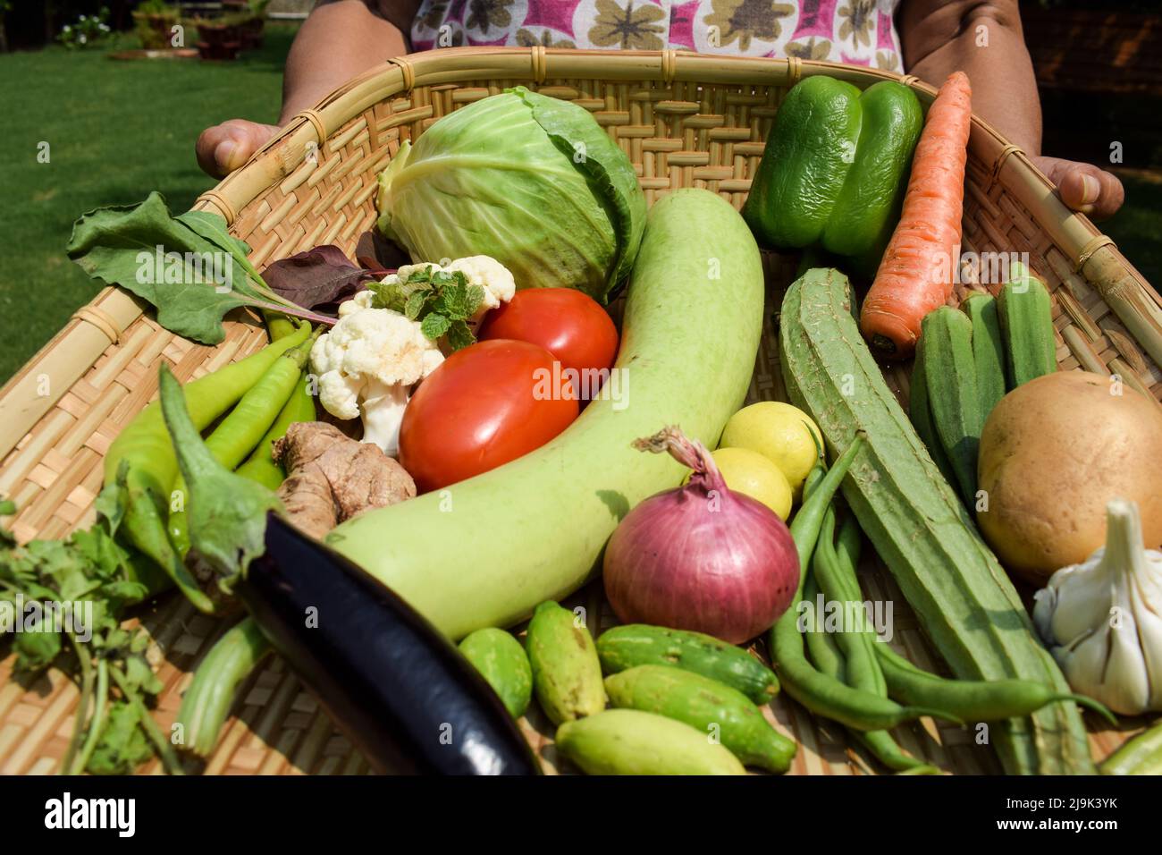 Female holding serving and Celebrating National Nutrition week observed in september. Farm fresh Organic mix vegetables. Variety of indian desi vegeta Stock Photo