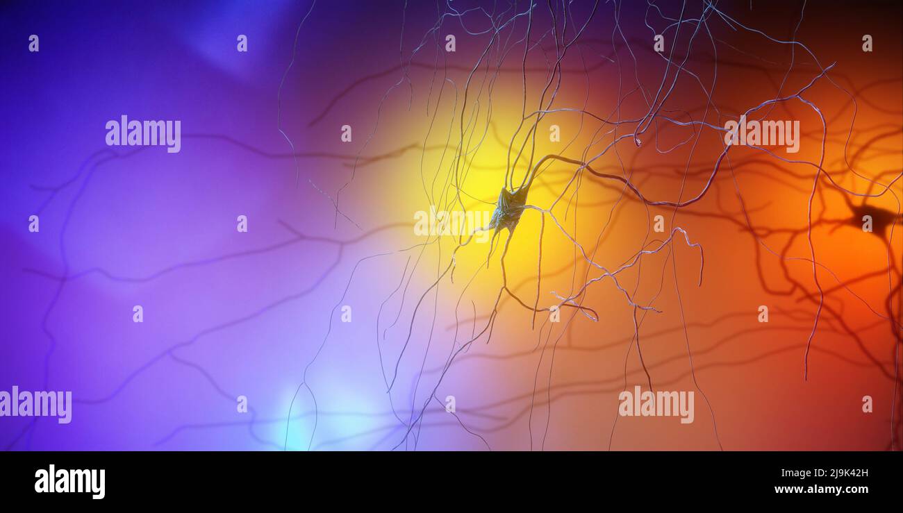 Synapse connections. Structure that permits a neuron or nerve cell to pass an electrical or chemical signal to another neuron. Brain. Neural network Stock Photo