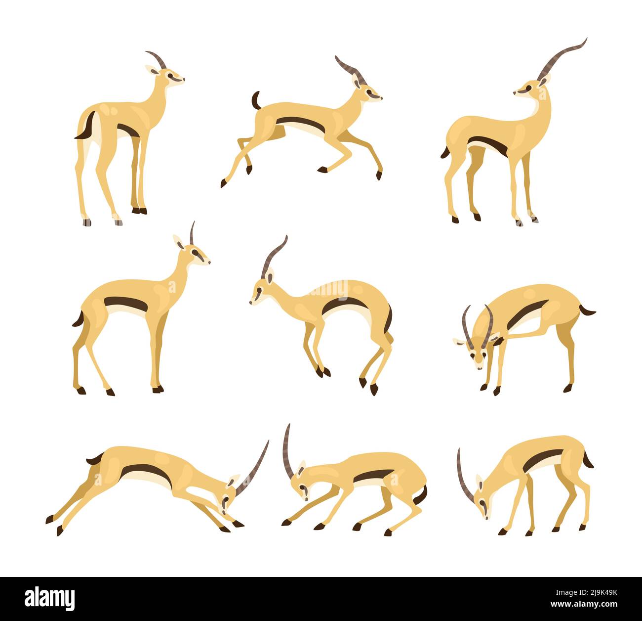 Antelope in different poses cartoon illustration set. African goitered gazelle or impala with long horns running, jumping and butting on white backgro Stock Vector