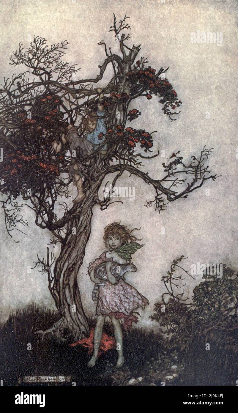 His children were as ragged and wild as if they belonged to nobody from the book ' Rip Van Winkle ' by Washington Irving, 1783-1859; Illustrated by Arthur Rackham, 1867-1939 Publication date 1919  Publisher New York Doubleday, Page 'Rip Van Winkle' is a short story by the American author Washington Irving, first published in 1819. It follows a Dutch-American villager in colonial America named Rip Van Winkle who meets mysterious Dutchmen, imbibes their liquor and falls asleep in the Catskill Mountains. He awakes 20 years later to a very changed world, having missed the American Revolution. Stock Photo
