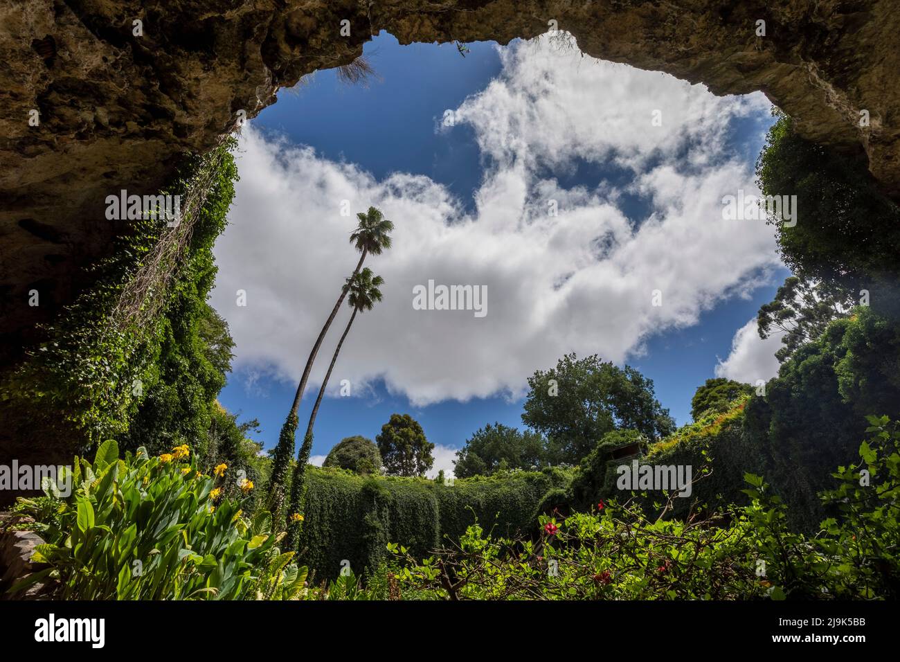 Low angle view lush foliage growing in cave under sunny sky, Umpherston Sinkhole, Australia Stock Photo