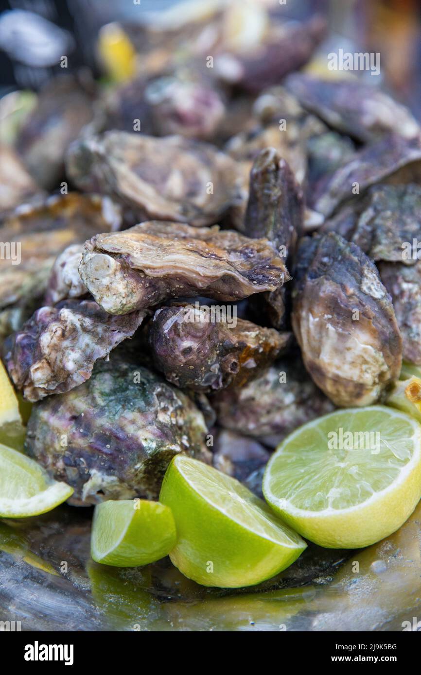 Close up fresh oyster shells and lime wedges Stock Photo