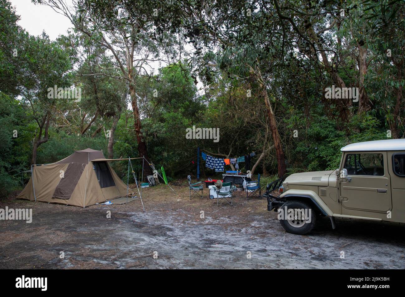 SUV parked outside tent at campground among trees, Wilsons Prom, Victoria, Australia Stock Photo