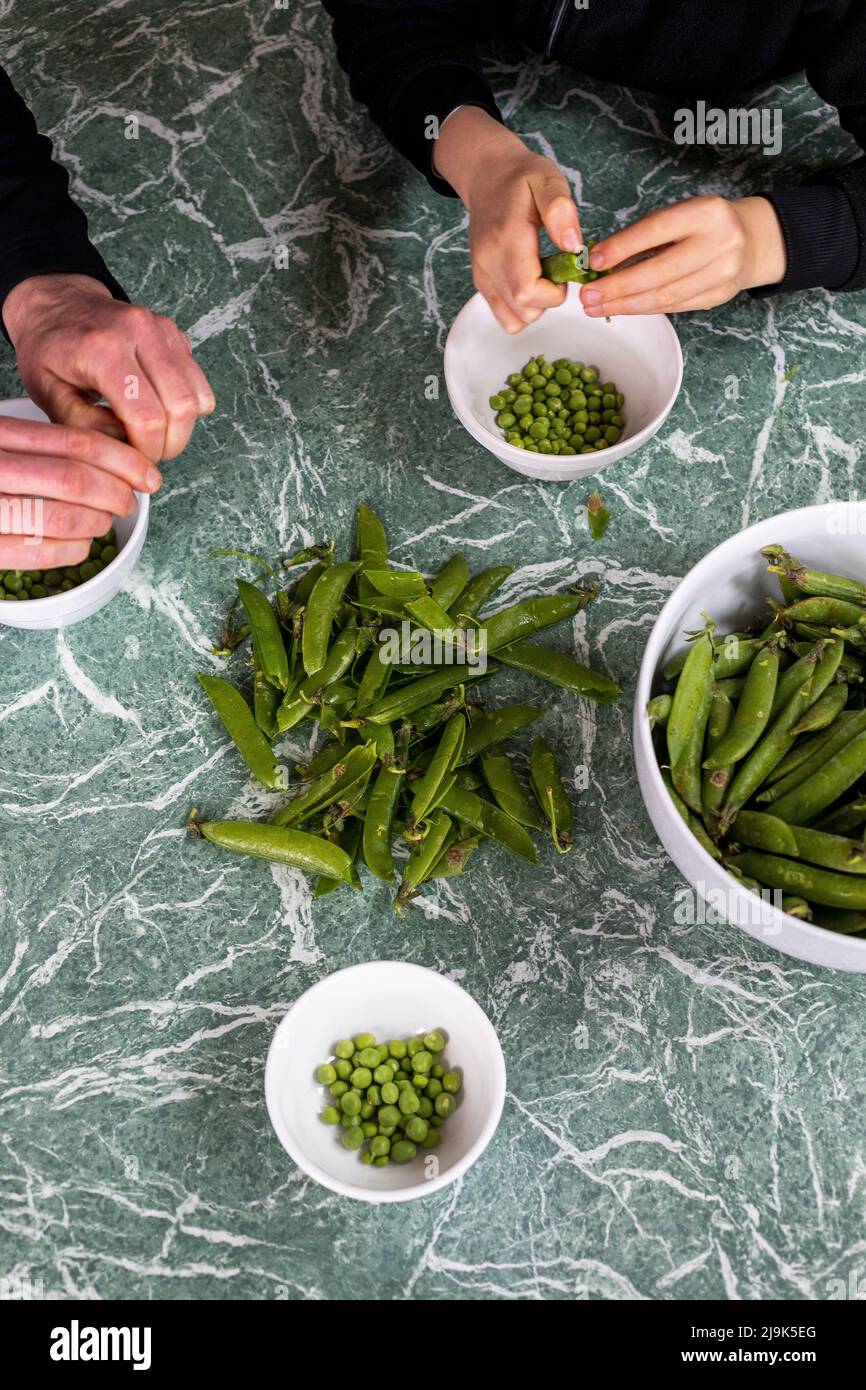 View from above mother and son shelling fresh green peas Stock Photo