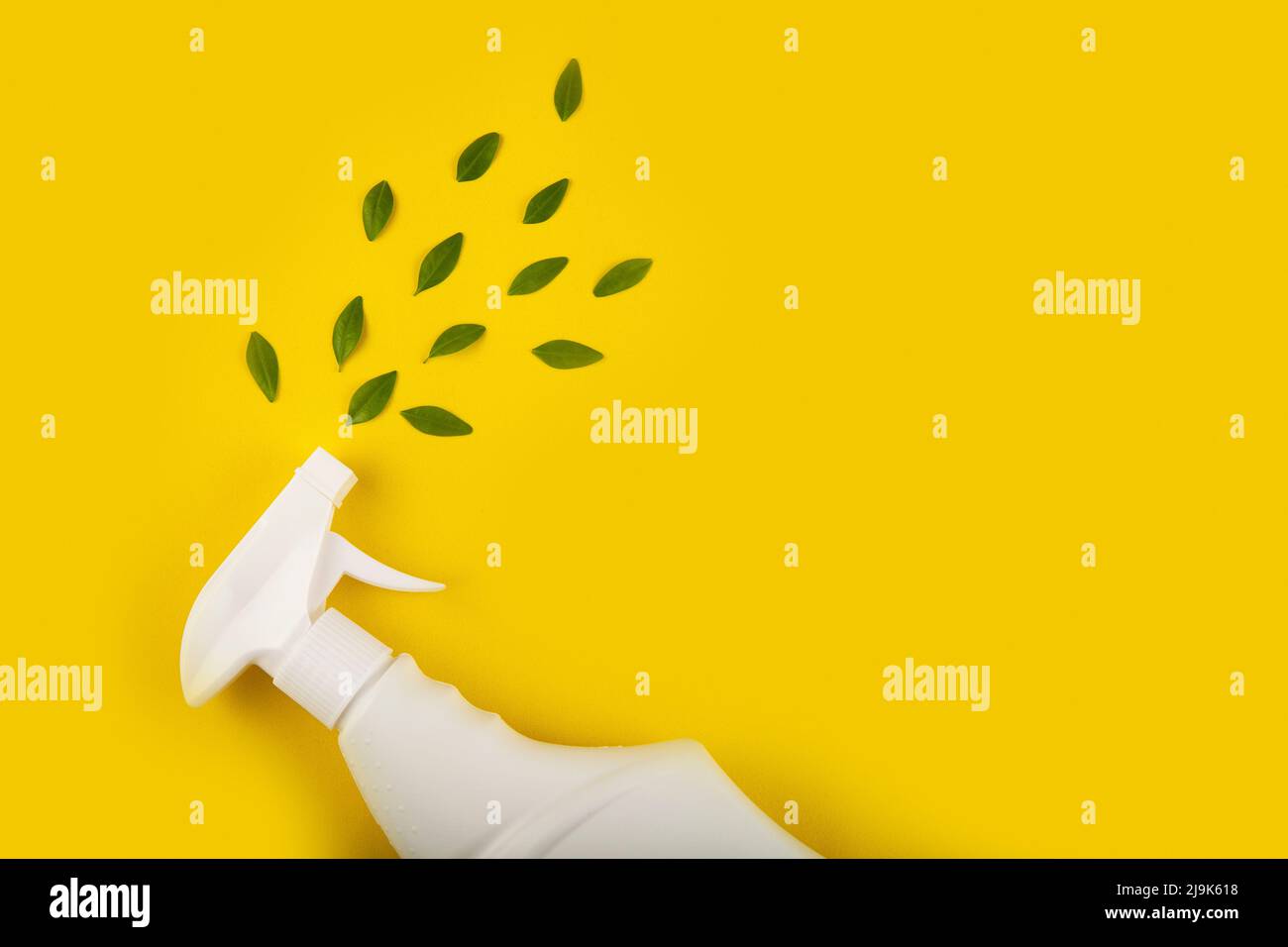 Bottle cleaner flowers hires stock photography and images Alamy