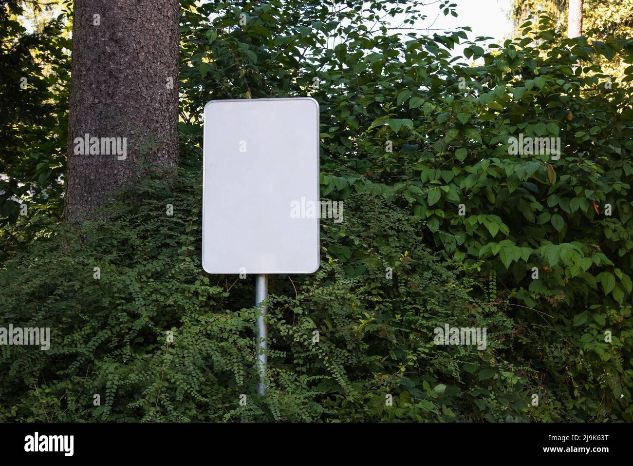 Empty blank sign board on a pole in a forest Stock Photo - Alamy