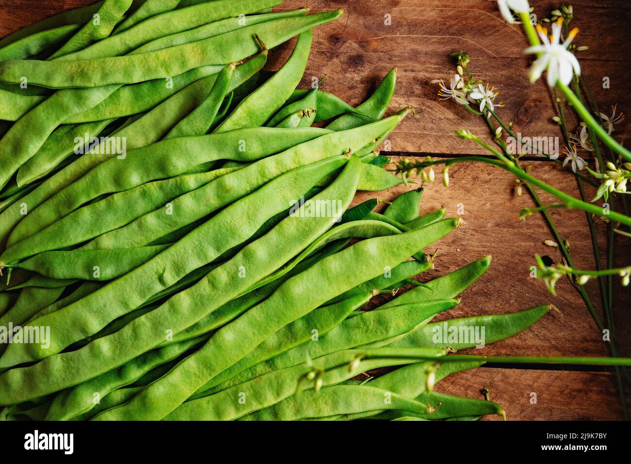 Rustic and natural image of freshly harvested fresh green beans.Healthy Food and cooking recipes Stock Photo