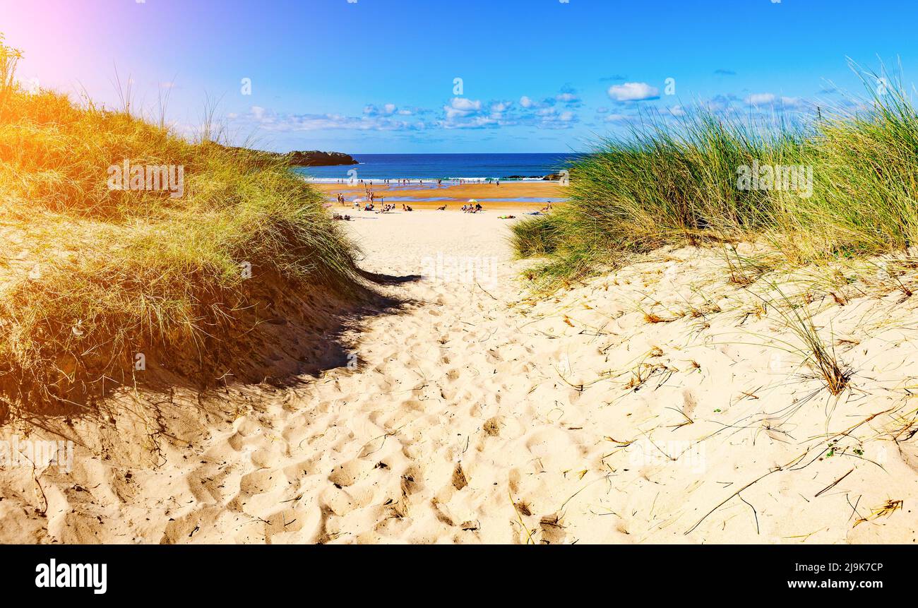 Sand dunes and vegetation to the beach.Path to A sunset beach. Stock Photo
