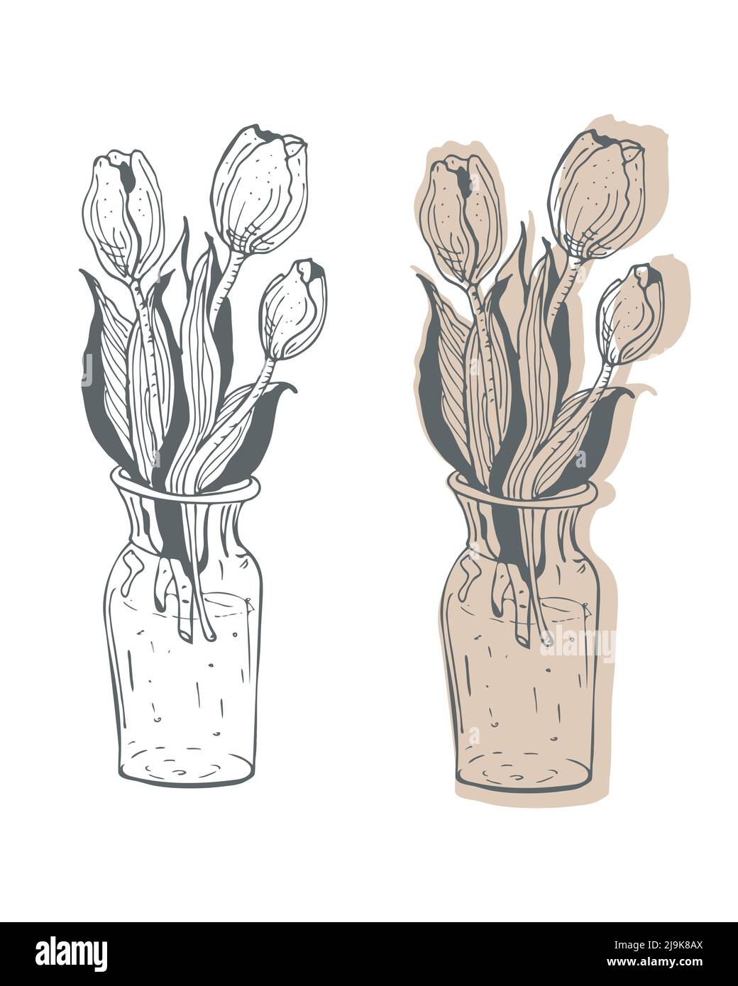 Floral composition, tulip flower, vase, sketch hand drawn ink brush line  stroke. Outline isolated elemnet, and with a colored back fill. White Stock  Vector Image \u0026 Art - Alamy, image size:1040x1390