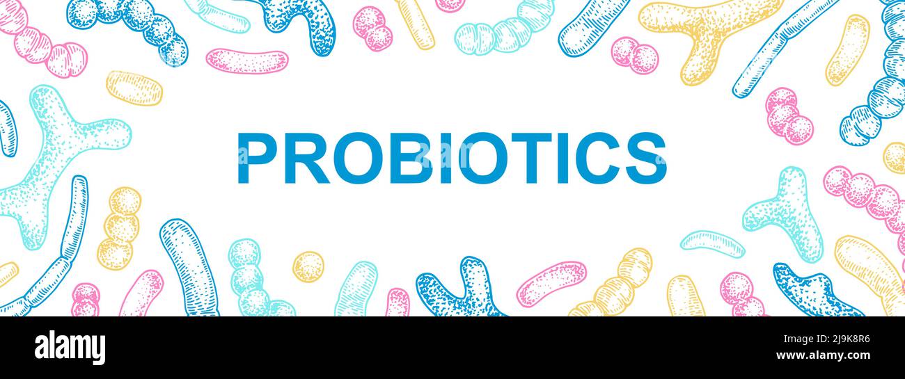 Hand drawn probiotics design for packaging and branding. Vector illustration in sketch style. Microscopic bacteria close-up. Biology background Stock Vector